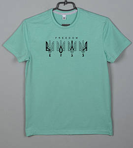 Футболка 100% Х/Б юніор Воля 4307п (Уп.4шт XS, S), Полин