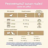 Purina Cat Chow Kitten Пуріна Кет чау корм для кошенят з куркою, 15 кг., фото 3