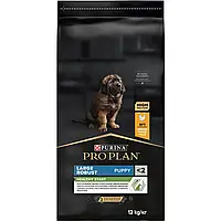 Purina Pro Plan Large Robust Puppy сухий корм для цуценят великих порід з куркою, 12 кг