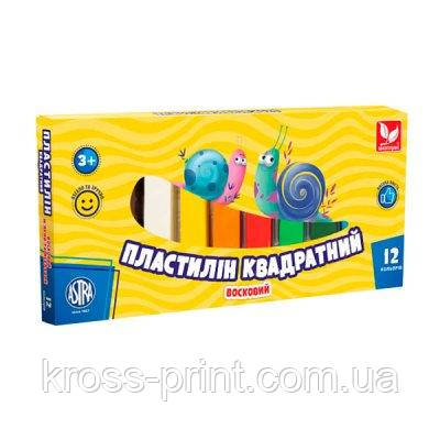 Пластилін 12 кв 210 г Школярик 83813908