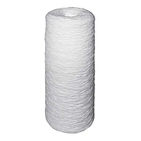 Картридж шнурковий PPW-10L-LN BigBlue 10"