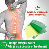 Тибетський Пластир із кордицепсом і турмаліном у разі артритів, спондилітів, у разі м'язових і суглобових болів 8 шт., фото 5