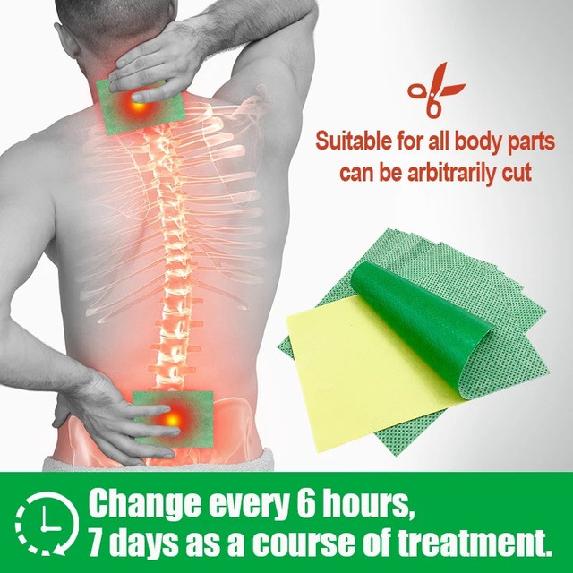 Тибетский Пластырь с кордицепсом Обезболивающий при артритах, спондилитах, при мышечных и суставных болях 8 штупак