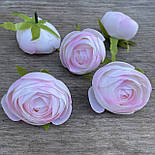 Головки лютики, камелії, ранзинкулюса 7 см світло-рожевий, фото 2