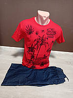 Летний подростковый костюм для мальчика подростка 12-18 лет Пальмы красный футболка и шорты джинс