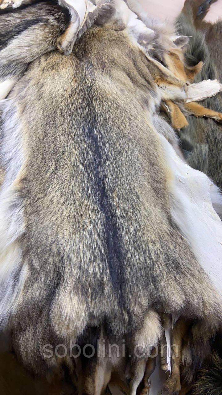 Хутро койот доступні до замовлення, фото 1