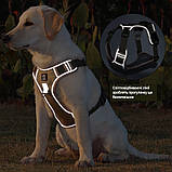 Шлейка для собак, фото 8