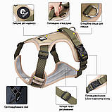 Шлейка для собак, фото 3