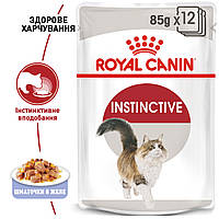 Royal Canin Instinctive in Jelly влажный корм для взрослых кошек от 1 года, кусочки в желе, 0.085КГх12шт