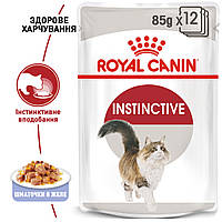Royal Canin Instinctive in Jelly вологий корм для дорослих кішок від 1 року, шматочки в желе, 85 гр х 12 шт