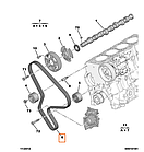 Ремінь ГРМ Peugeot Boxer 2, Citroen Jumper 2 (2002-2006) 2.2HDi, 0816G1, фото 3