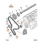 Комплект ГРМ 143 зуба Peugeot Boxer, Citroen Jumper 2 (2002-2006) 2.2HDi, 0831T8, фото 5