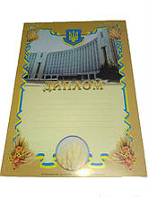 Бланк ДИПЛОМ А4 картон цупкий