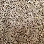 Насіння фенхелю (Семена фенхеля)100г