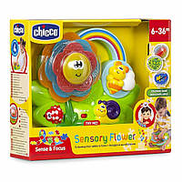 Музыкальная Игрушка Chicco Sensory Flower