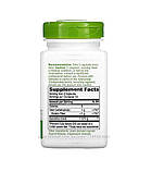 Now Foods, Корінь кульбаби, 500 мг, 100 рослинних капсул, фото 2