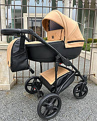 Коляска 2 в 1 Baby Pram Berta eco