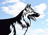 Флюгер на дах Собака німецька вівчарка, вітряк на будинок, фото 4