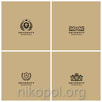 Тетрадь для студентов 48 листов в линию А5, серия "Международный университет", "Школярик Student"