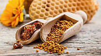 Propolis: «бджолиний антибіотик» – наш надійний лікар
