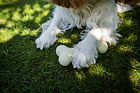 Жувальна іграшка кістка для собак, цуценят дентальна Dog Walking TPR Chew Bone 15 см блакитна, фото 9