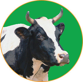 Добавки для ВРХ