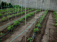 Опори для квітів та рослин Polyarm (hotdeal) Ø 7 мм (2 метри), фото 5