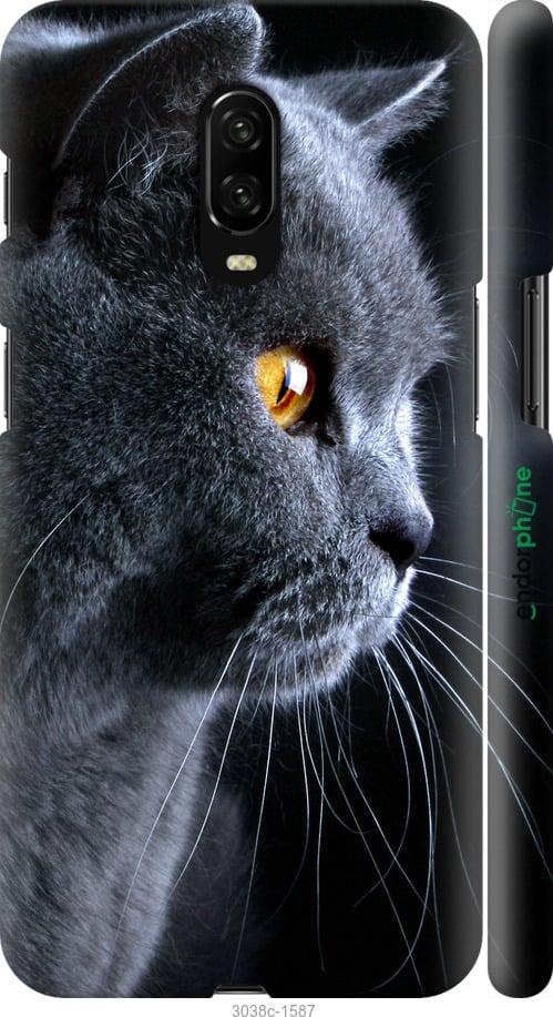 Чохол на OnePlus 6T Гарний кіт "3038m-1587-1852"