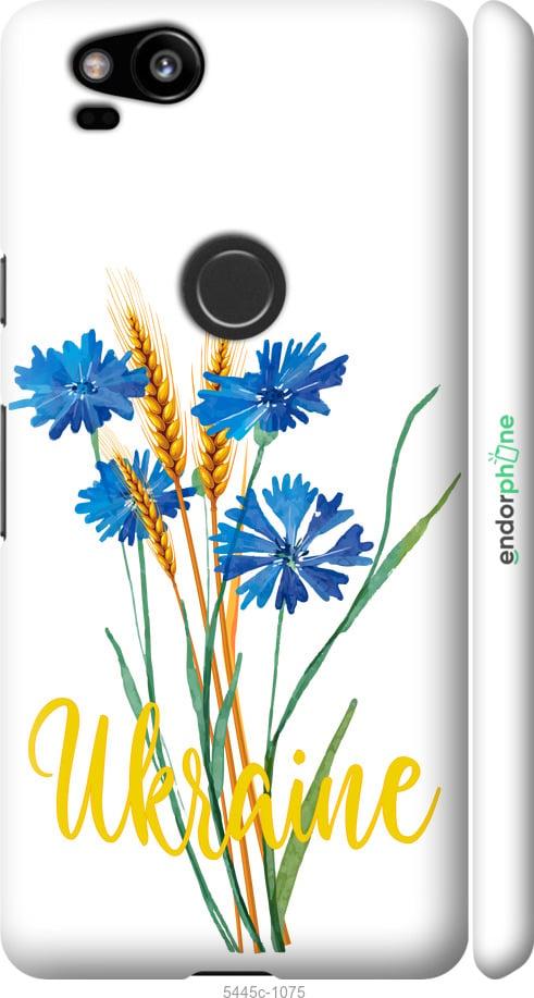 Чохол на Google Pixel 2 Ukraine v2 "5445m-1075-1852"