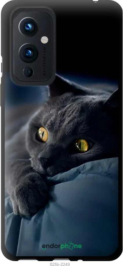 Чохол на OnePlus 9 Димчастий кіт "825b-2249-1852"