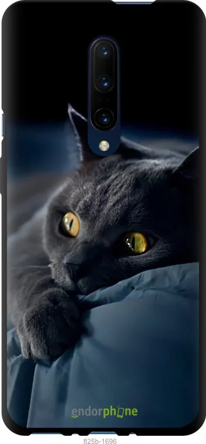 Чохол на OnePlus 7 Pro Димчастий кіт "825b-1696-1852"