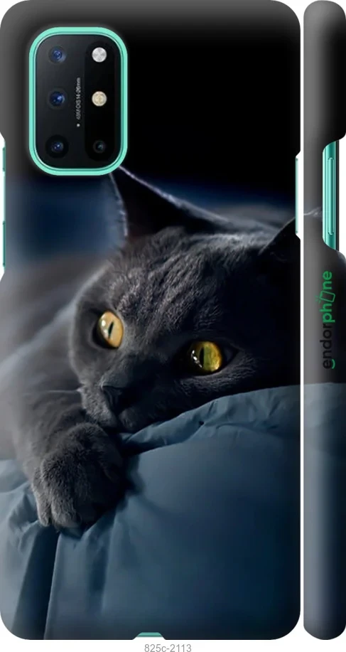 Чохол на OnePlus 8T Димчастий кіт "825m-2113-1852"
