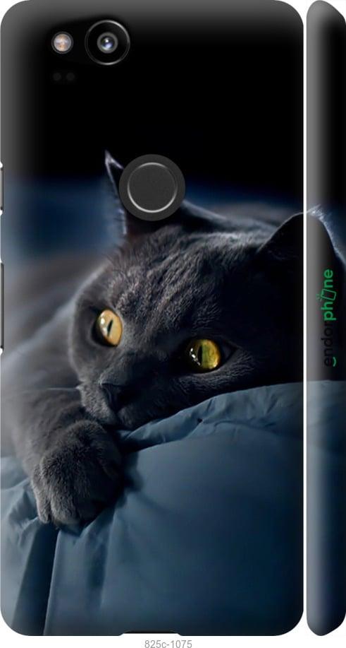 Чохол на Google Pixel 2 Димчастий кіт "825m-1075-1852"