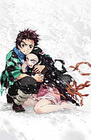 Demon Slayer - Tanjiro & Nezuko (Постер)