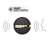 Виброяйце Dorcel Secret Delight Gold з пультом ДК, з турборежимом і голосовим керуванням - SO3077, фото 3