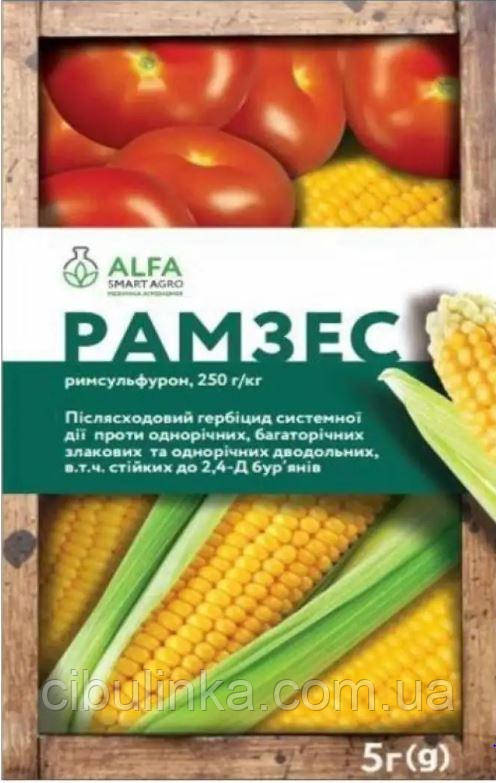 Послідовний Гербіцидберальної дії Рамзес 5 г, фото 1