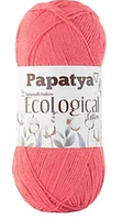 Ecological Papatya-701