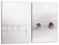 Модульная картина в гостиную / спальню Туман в природі TLV-2_012 90x132 см