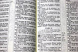 Біблія російською мовою, у шкіряній палітурці, золотий зріз на змійці (18х25 см), фото 6