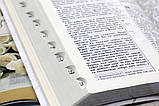 Віначальна Біблія в коробці (17х24 см), фото 7