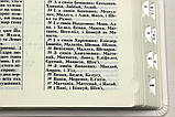 Віначальна Біблія в коробці (17х24 см), фото 8