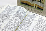 Віначальна Біблія в коробці (17х24 см), фото 9