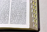 Біблія (переклад І. Хоменка), у подарунковій коробці, шкіра 15х21 см, фото 7