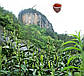 Да Хун Пао, молодий улун з гір Іу, Wuyi Rock Dahongpao Tea, чай у жестяній банці 250 гр, фото 9