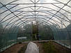 Каркас 6х8м арочний теплиці "Западенська 6+", фото 3