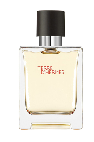 Hermes Terre D*Hermes туалетная вода 50 мл: продажа, цена в Никополе ...