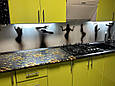 Скляна панель на кухню/ Фартух Силуети жінок, фото 3