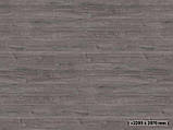 ДСП Дуб Уайт-Ривер сіро-коричневий 18 мм (2,80*2,07) PG8 H1313 ST10 Egger NEW, фото 5