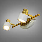 Світлодіодне підсвічування картин і дзеркал 6 Вт колір каркасу золотий D-6989/2, фото 3