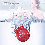 Вакуумно-хвильовий вібратор троянда, фото 7